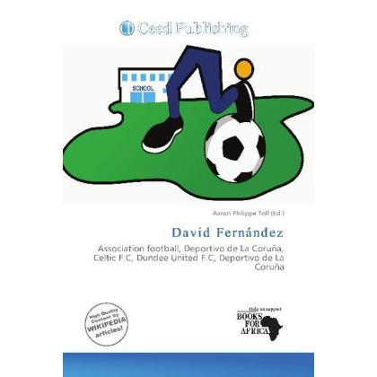 David Fernández, Ratgeber