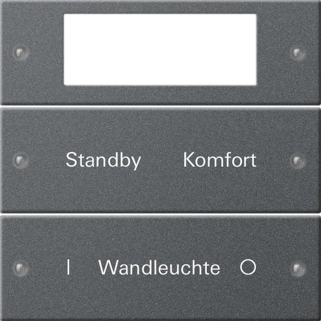 Gira, Programma di commutazione degli accessori, Set di bilancieri 2f Plus con scritta System 55 221228
