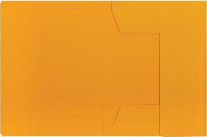 Produktbild Elba Sammelmappe Karton chic (A4, 1x)