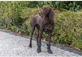 Produktbild Trixie Walker Active Long protective boots, M, 2 pcs., black (M, Hundeschuhe)