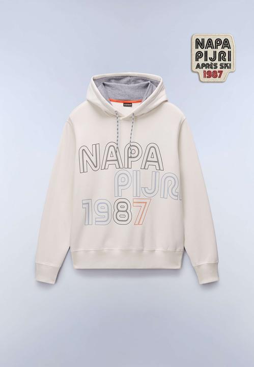 AOP FZI