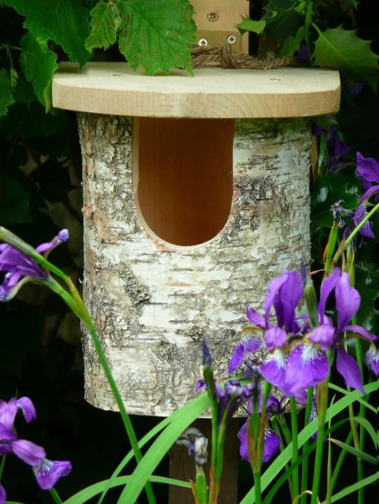 Produktbild Wildlife World Rotkehlchen