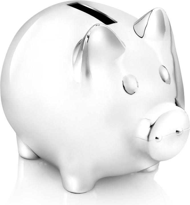 Zilverstad Piggy Bank