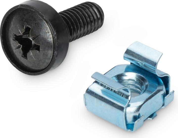 Actual product image Digitus DN-19 SET screw set, size M6 for 19" cabinets