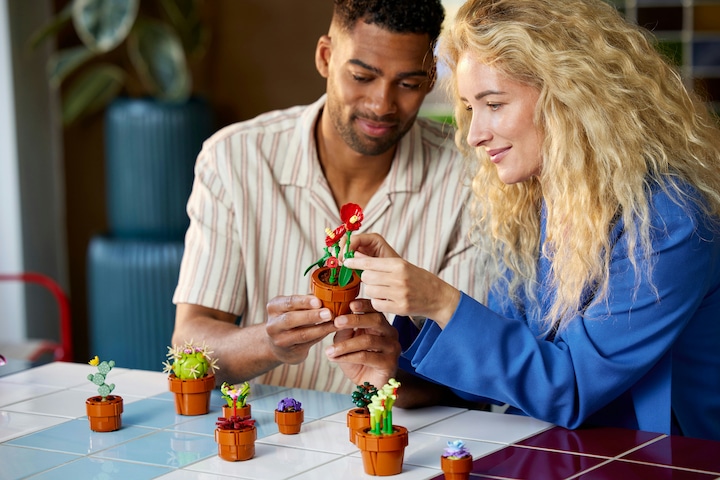 Immagine prodotto LEGO Mini piante (10329, LEGO Icons, LEGO Botanical)
