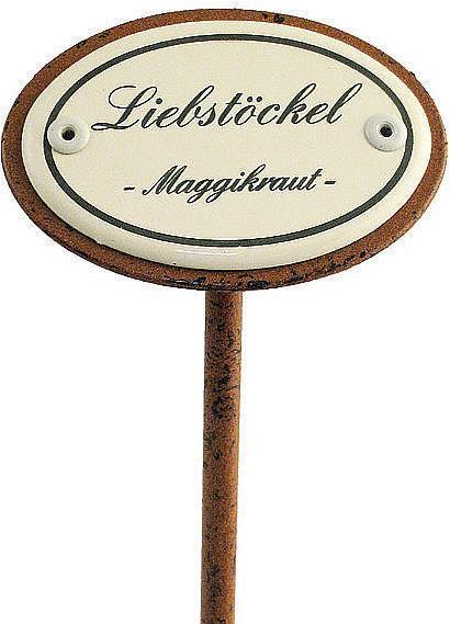 Actual product image Münder Spice plug lovage (20 cm)