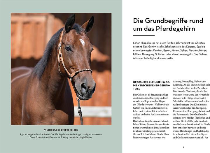 Actual product image Kosmos Gehirnjogging für clevere Pferde (German, Ruth Katzenberger-Schmelcher, 2024)