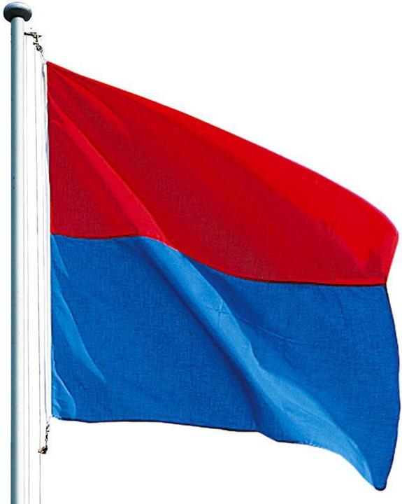 Actual product image Keller Fahnen Kantonsfahne klassisch Tessin Polyester 200x200 cm