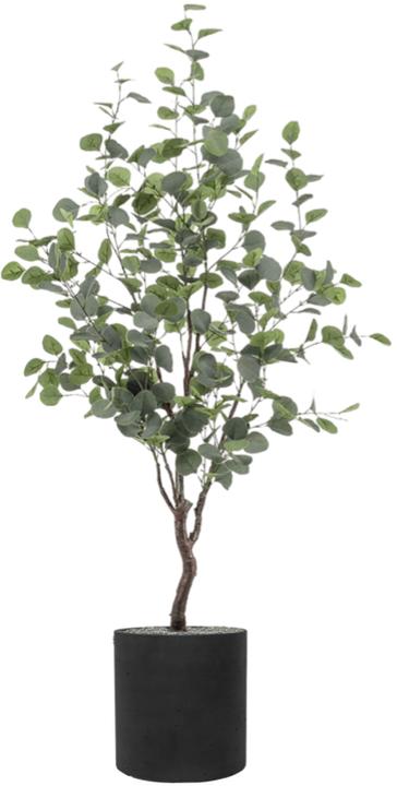 Image du produit Emerald Merna (120 cm)