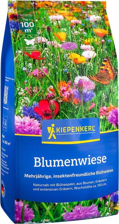 Kiepenkerl Flower meadow (Flower seeds)