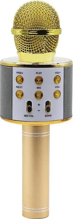 Actual product image Manta MIC10-G gold