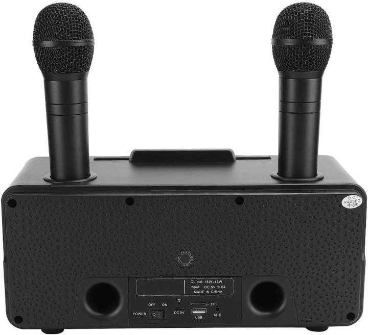Actual product image Bewinner1 Karaoke Speaker, Black