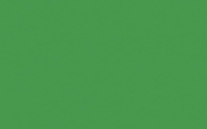 Actual product image Ursus Photo cardboard 50x70cm 3882259 300g, green (300 g/m², 10 x)