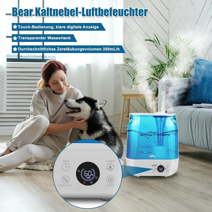 Actual product image Bear Rock 2025 Luftbefeuchter