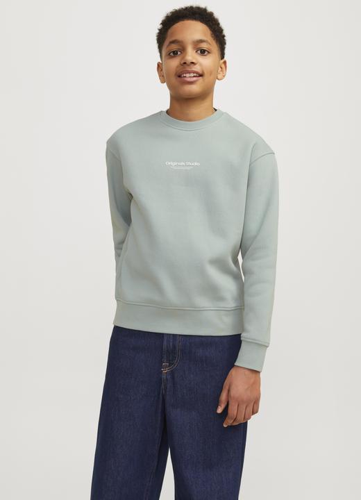 Produktbild Jack & Jones Jorvesterbro Sweat Crew Neck Bn Mni (110)