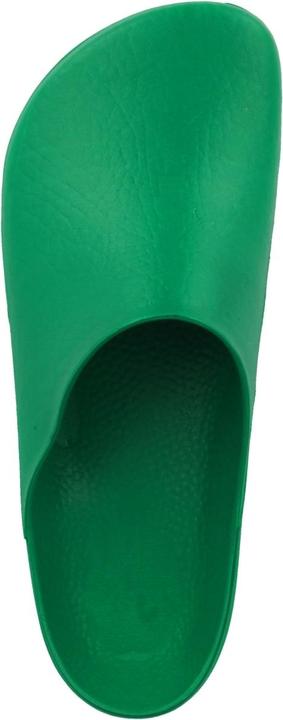 Actual product image Birkenstock Classic Birki Antistatic Normal (36)