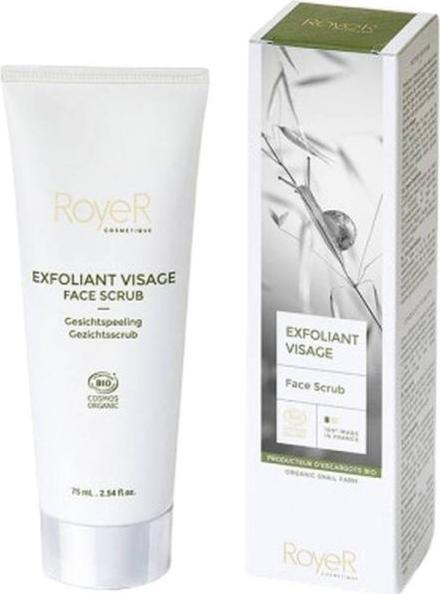 Actual product image RoyeR Facial scrub Tb 75 ml (Cleansing scrub, 75 ml)