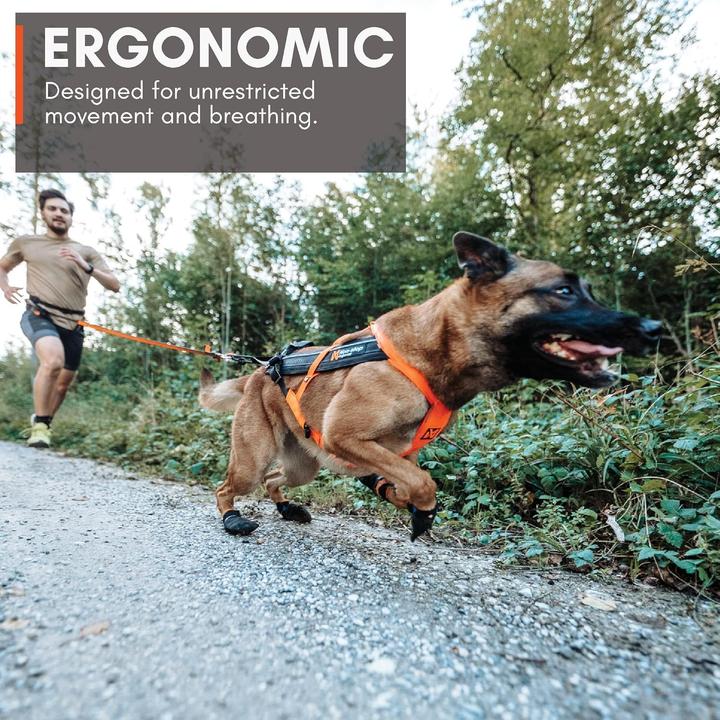 Image du produit Non-Stop Dogwear Harnais Freemotion 5.0 (S, Chien)