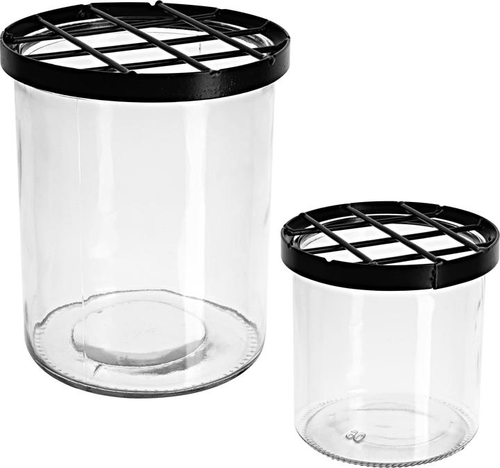 Produktbild VBS Glasvase mit Steckgitter