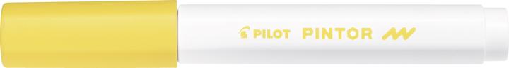 Actual product image Pilot Pintor fine (1x)