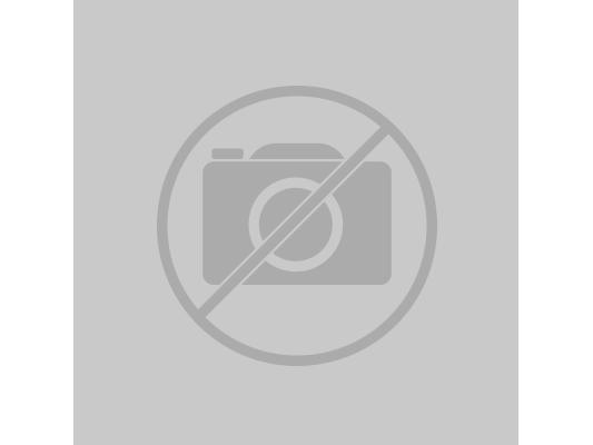 Produktbild Testo Kältemittel Messgerät 550 Set Füllschläuchen
