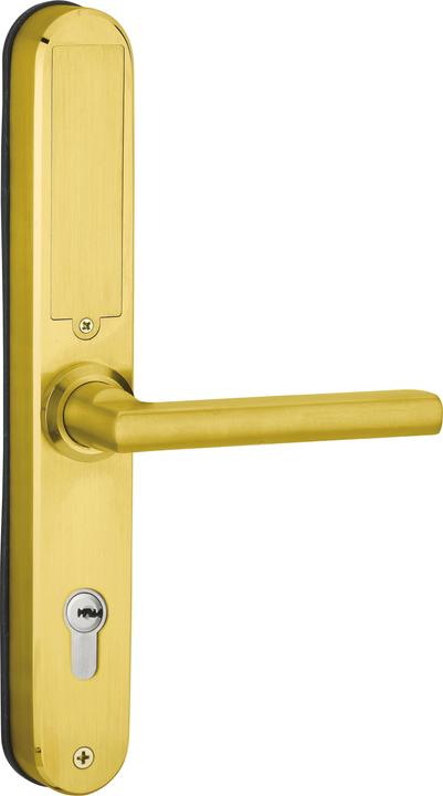 Image du produit Thirard Poignee electronique "multi" ea70mm - finition gold