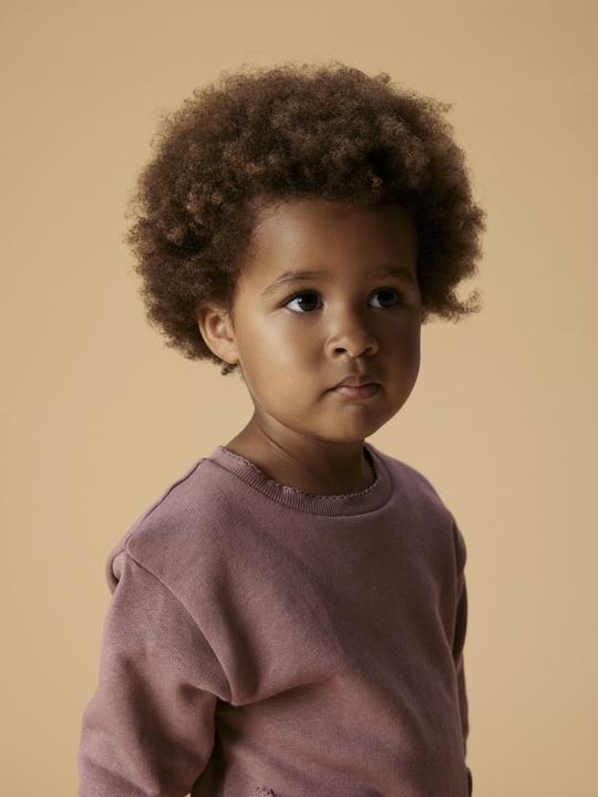 Produktbild Name it Bio-Baumwoll Sweatshirt (122, 128)