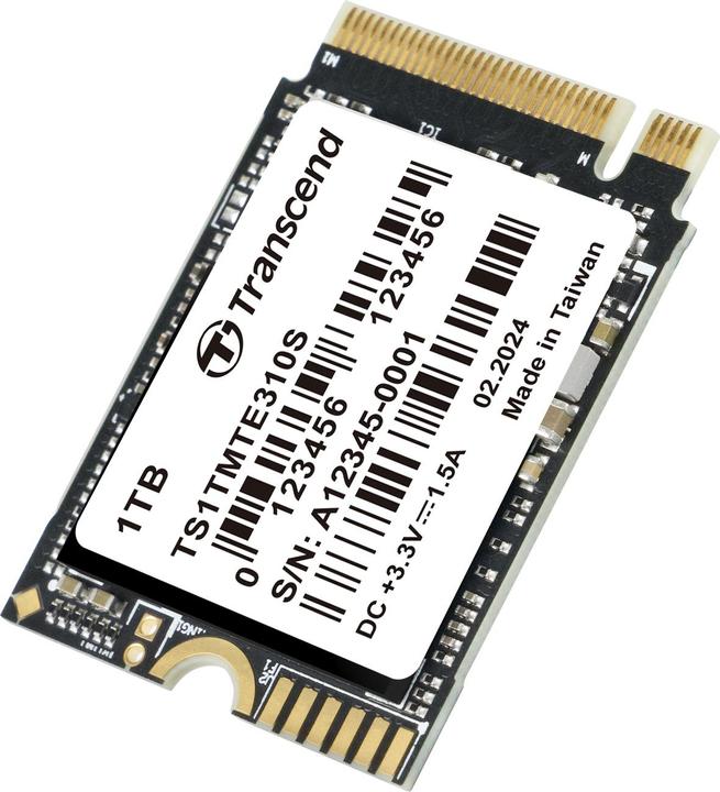 Actual product image Transcend 310S (1000 GB, M.2 2230)