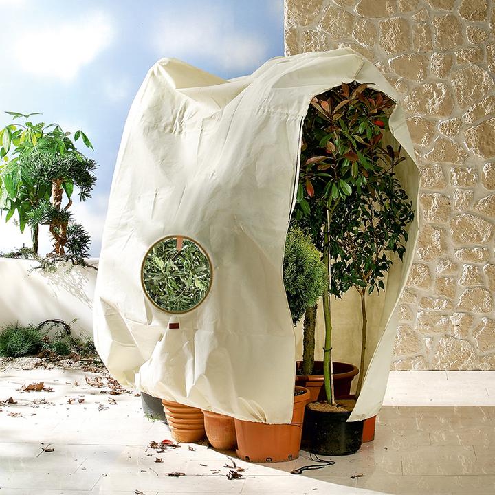 Image du produit Bio Green Sac pour plantes en bac