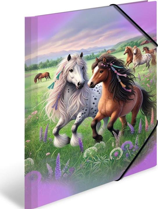 Actual product image HERMA A3 motif folder (A3, 1x)