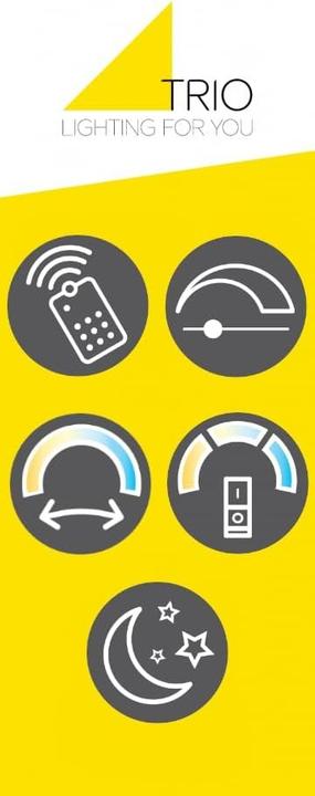 Image du produit Trio Plafonnier Irvine, 7100 lm, 3000-6500 K, LED 60 W, laiton mat/noir mat (7100 lm)