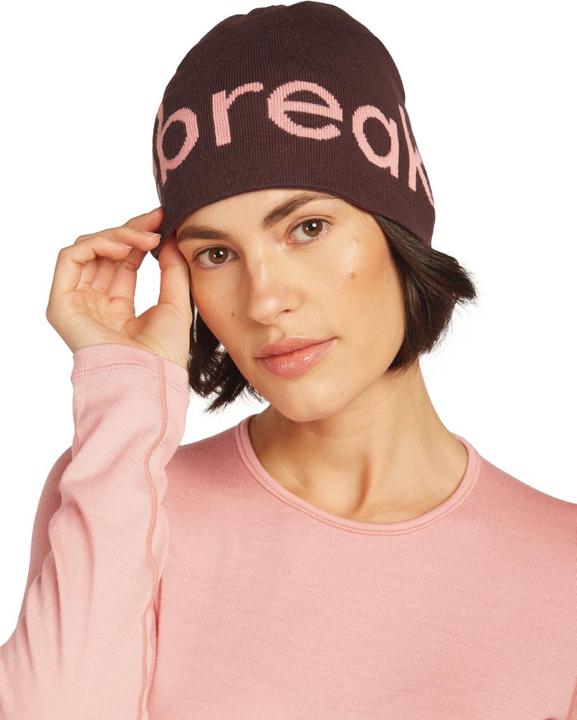 Image du produit Icebreaker Unisex Merino Beanie
