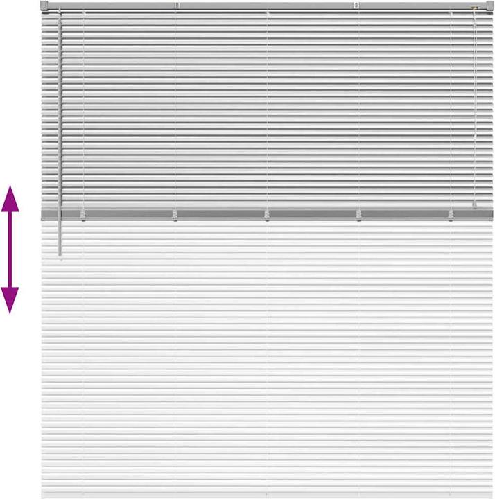 Immagine prodotto VidaXL Tende per finestre (160 x 175 cm)