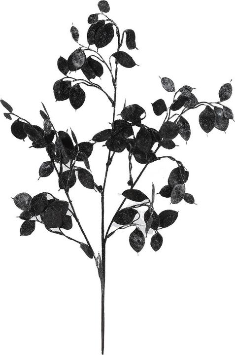 Countryfield Decostar Dekozweig Lunaria schwarz 67cm