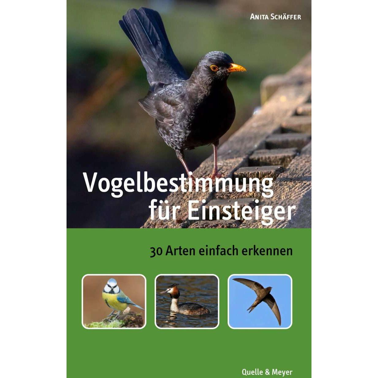 Vogelbestimmung für Einsteiger, Ratgeber von Anita Schäffer