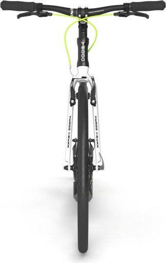 Actual product image Yedoo Tretroller Trexx Scooter weiss