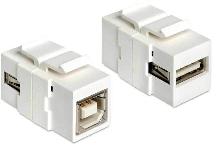 Image du produit Delock Jack Keystone : USB2.0 (USB 2.0, 2.50 W)