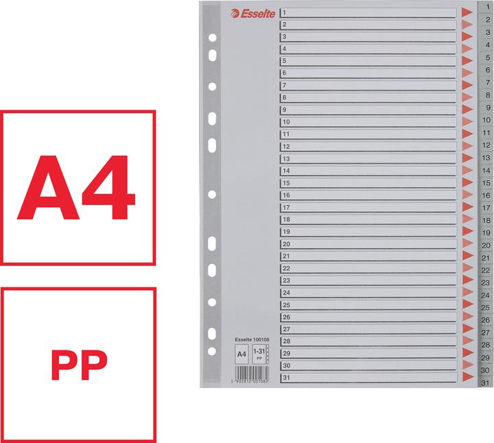 Actual product image Leitz Esselte plastic registers, numbers, A4, 1-31, grey 31-part, PP, 0,12 mm, with writable coverb