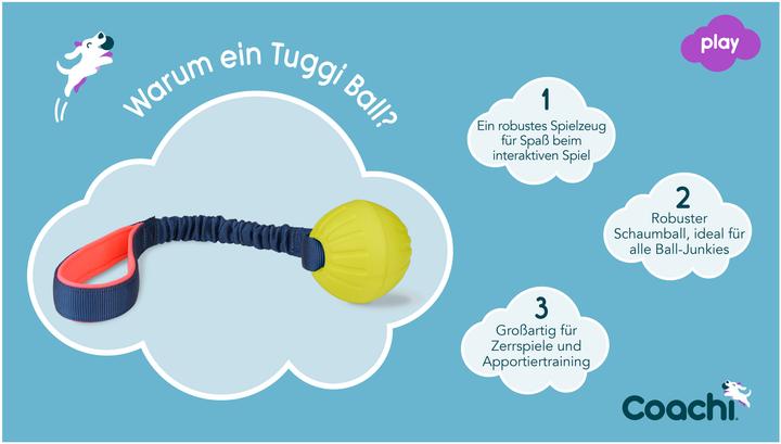 Actual product image Company of Animals Coachi reward game Tuggi Ball (Ball toy dog)
