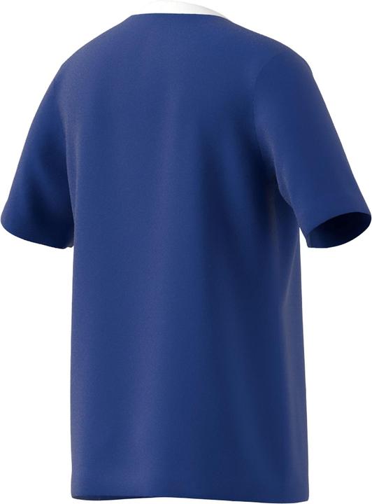 Produktbild adidas Entrada 22 Trikot (164)