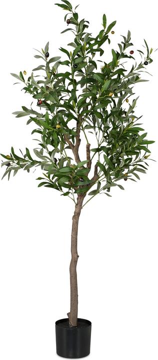 Relaxdays Olivenbaum (150 cm)