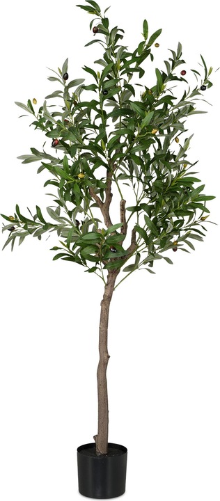 Relaxdays Olivenbaum (150 cm)