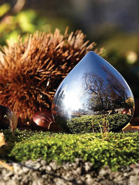 Actual product image Alessi Chestnut Pill Box