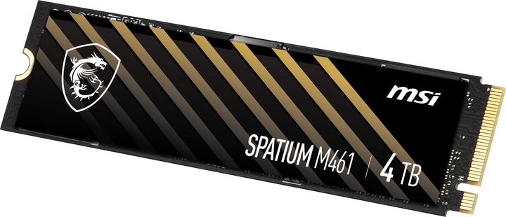 Image du produit MSI Spatium M461 (4000 Go, M.2 2280)