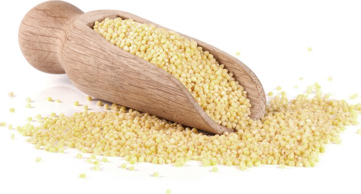 Produktbild Habibi Plush Schaf Btl (22 x 2.50 cm)