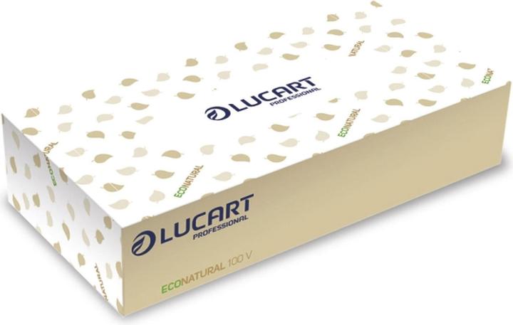 Actual product image Lucart Cosmetic tissues 2-ply Econatural