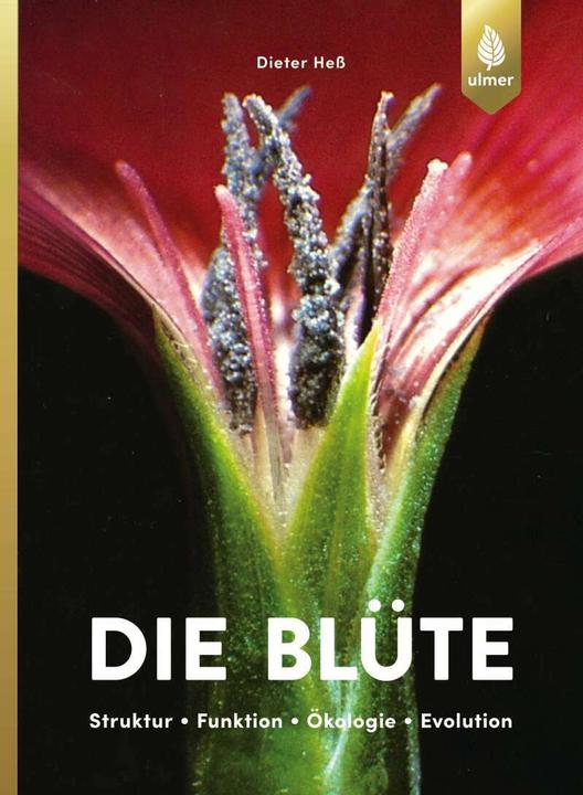 Produktbild Die Blüte (Deutsch, Dieter Heß, 2019)
