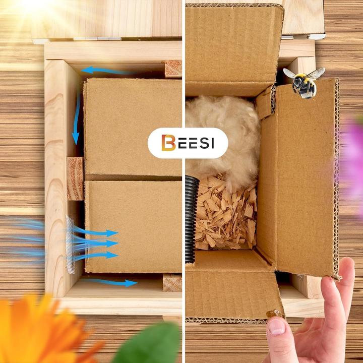 Actual product image Beesi Bumblebee House (Bumblebees)