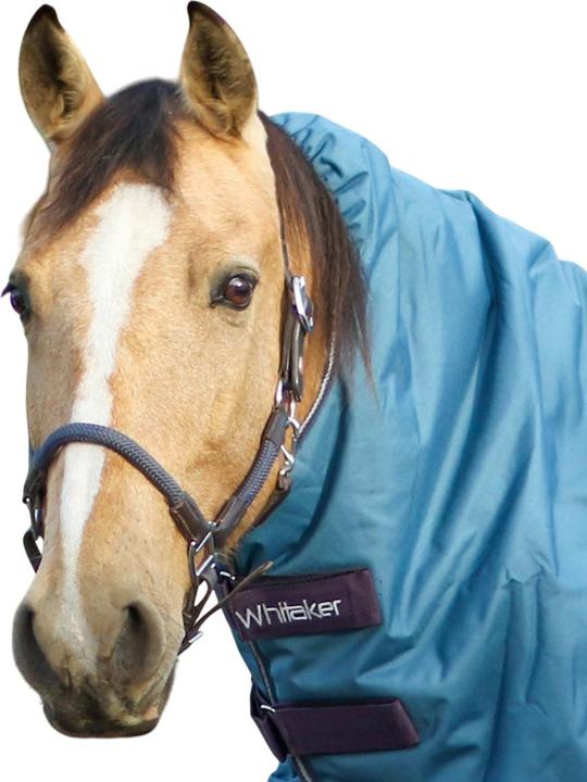 Image du produit - Licol en corde pour chevaux RAYWELL