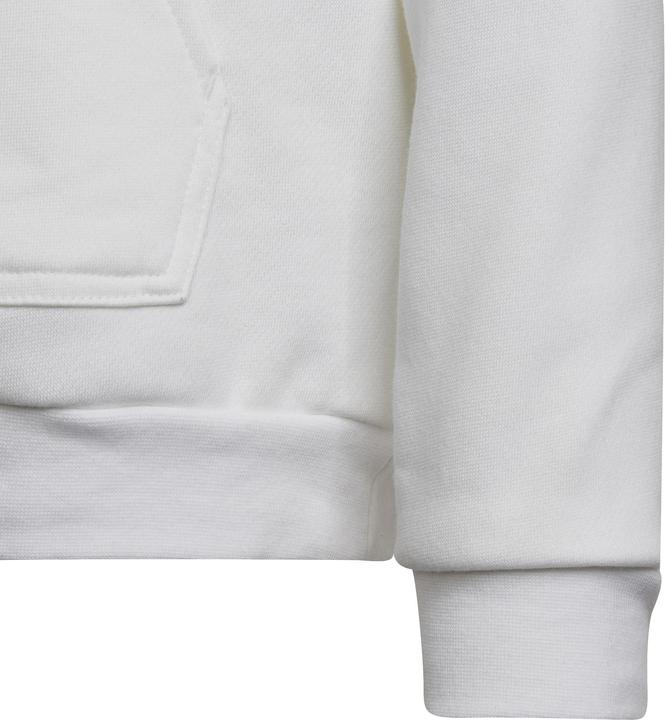 Produktbild adidas Entrada 22 Kapuzenpullover Kinder (176)